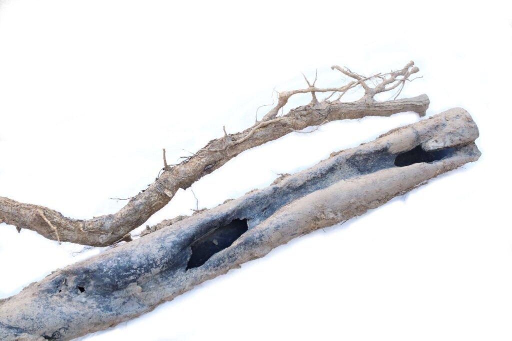 A branch featuring a central hole lies next to a thin stick on the pipe