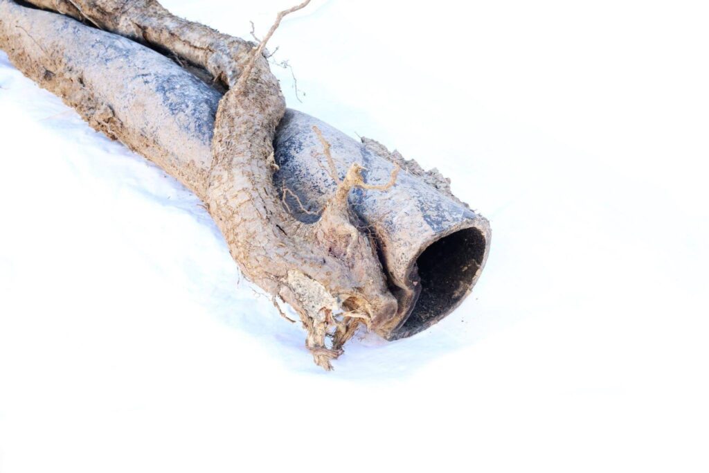 A pipe with a branch protruding from its side indicating a junction or diversion in the piping system